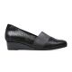 Caister - Black Crackle