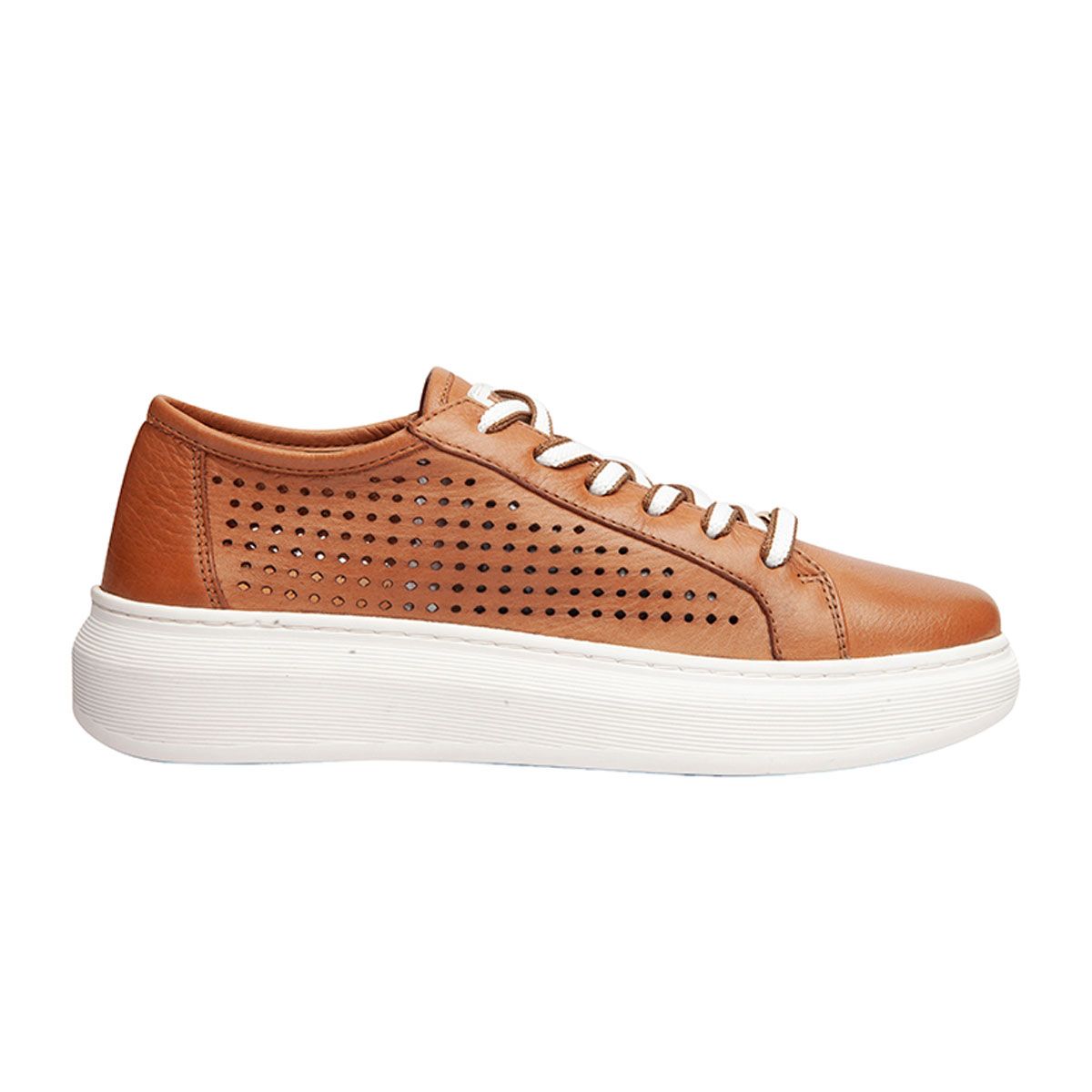 Tenis bottero best sale 2018