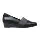 Caister - Black Crackle