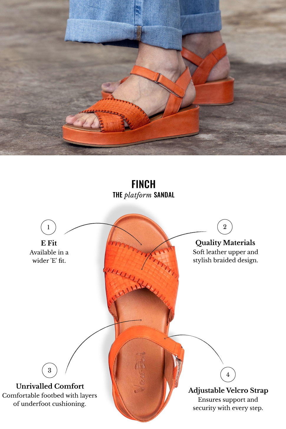 finch